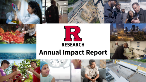 Graphic with images of different types of research being conducted